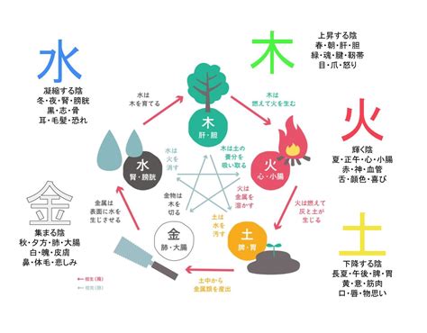 いんとよう|陰陽五行思想